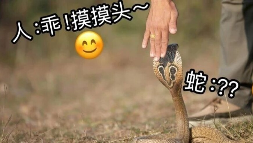澳门一肖一码100%准确挂牌,白宫吵架大会,权威独家讨论与热门话题_公测版V14.30